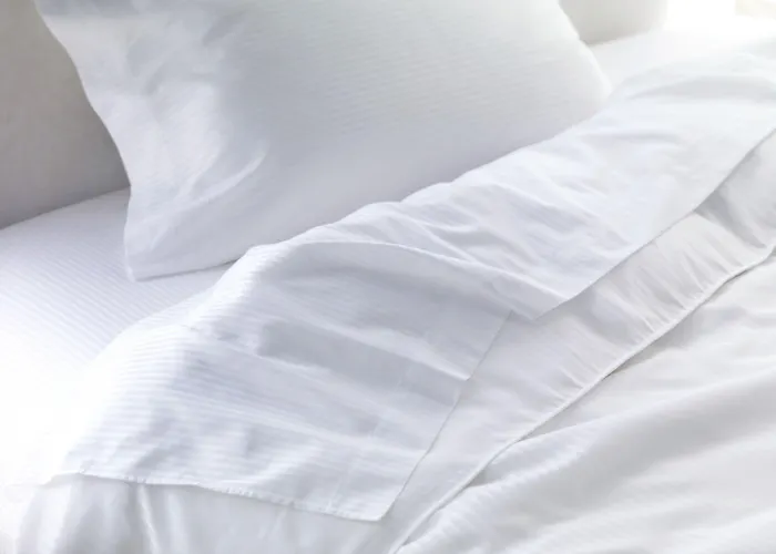 Sheraton Worth Downtown Hotel 4*