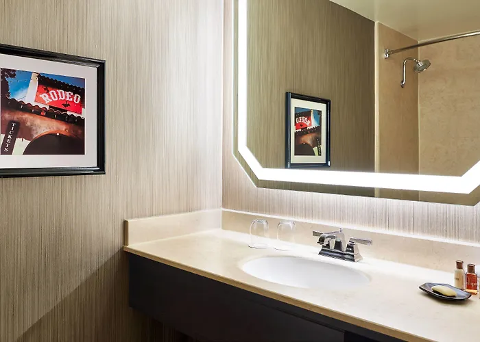 Hotel Sheraton Worth Downtown 4*