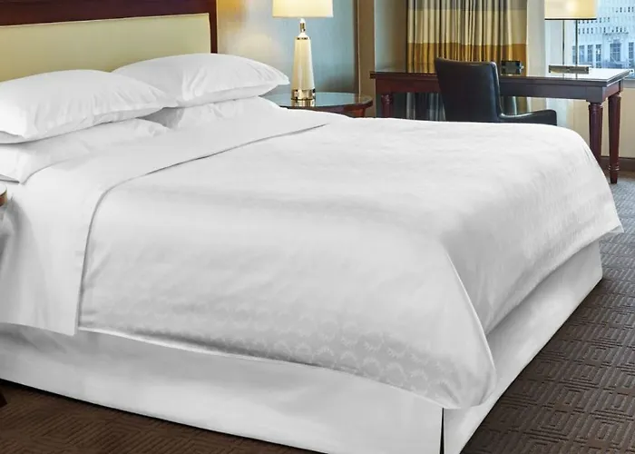 Hotel Sheraton Worth Downtown 4*